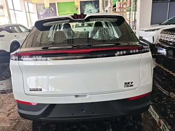 Dongfeng Aeolus SKY 2025