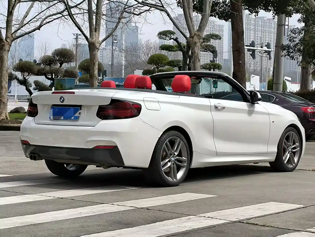 BMW 2 Series 2018 — фото 13