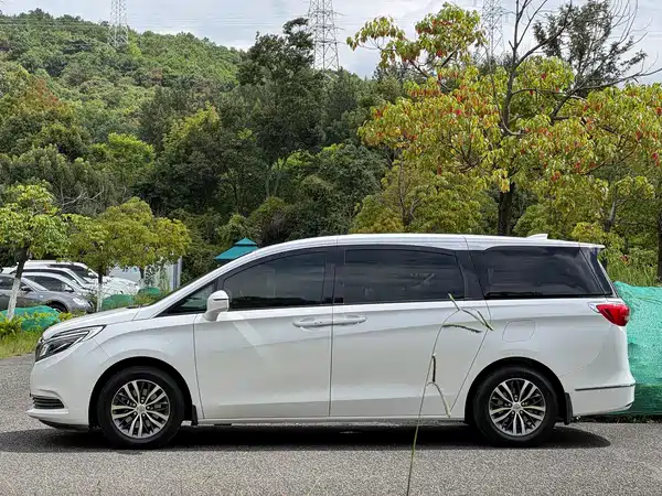 Buick GL8 2019