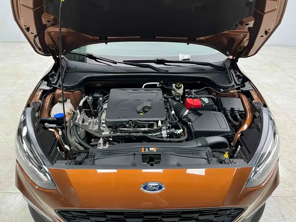 Ford Fox Active 2021 — фото 20