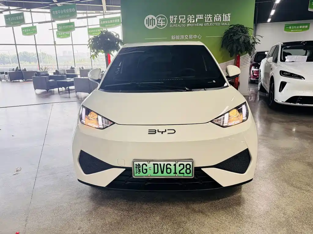 BYD Seagull 2025