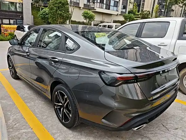 Geely Binrui 2024