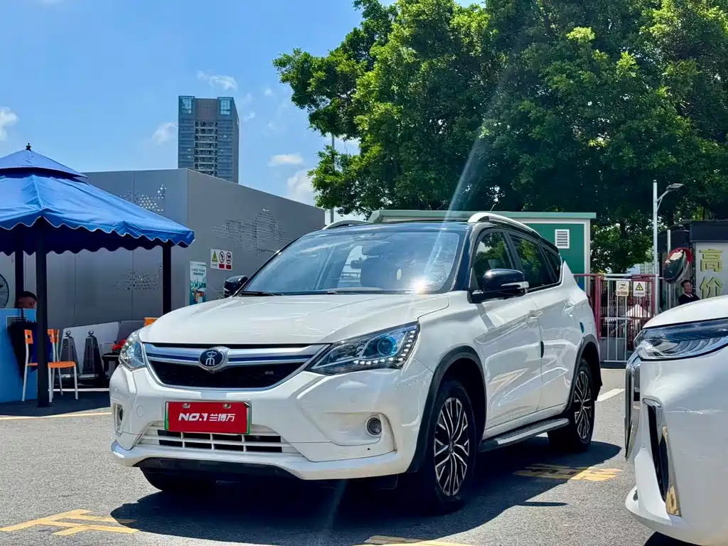 BYD New Energy 2017