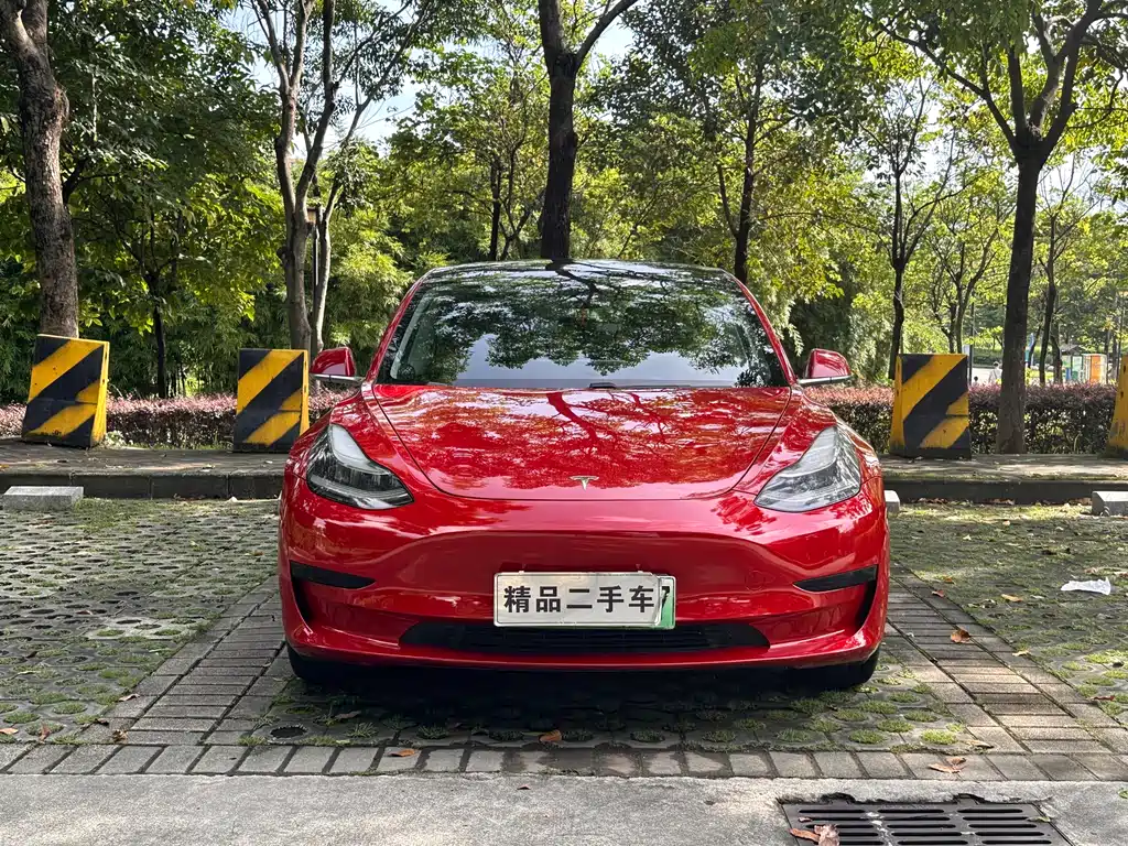 Tesla Model 3 2020 — фото 2