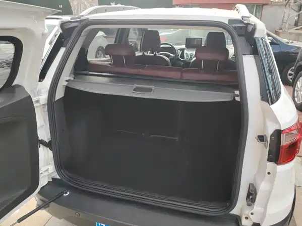 Ford EcoSport 2013
