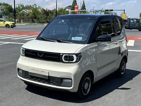 Wuling Hongguang MINIEV 2023