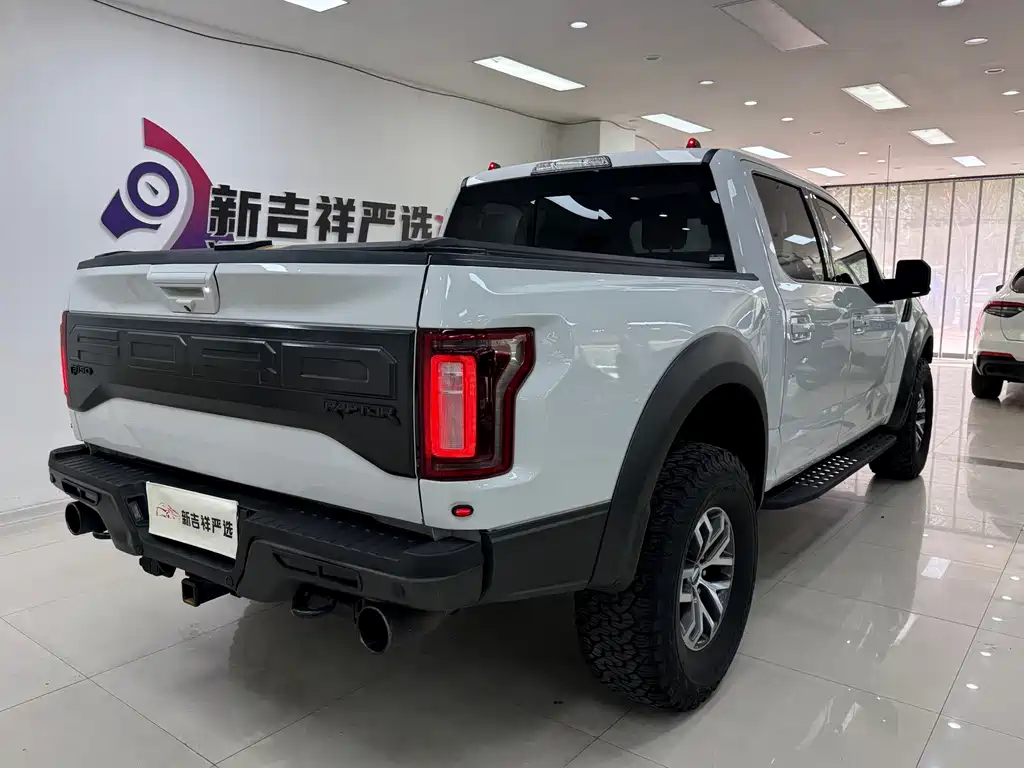 Ford F-150 Raptor 2018 — фото 17