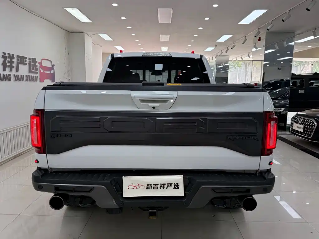 Ford F-150 Raptor 2018 — фото 16