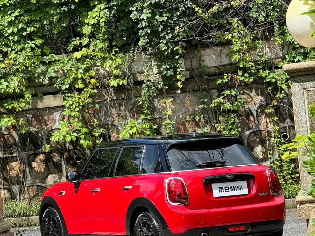 MINI MINI 2019