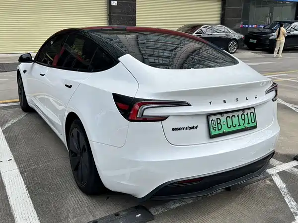 Tesla Model 3 2024