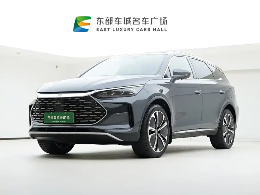 BYD Tang New Energy 2023 — фото 1