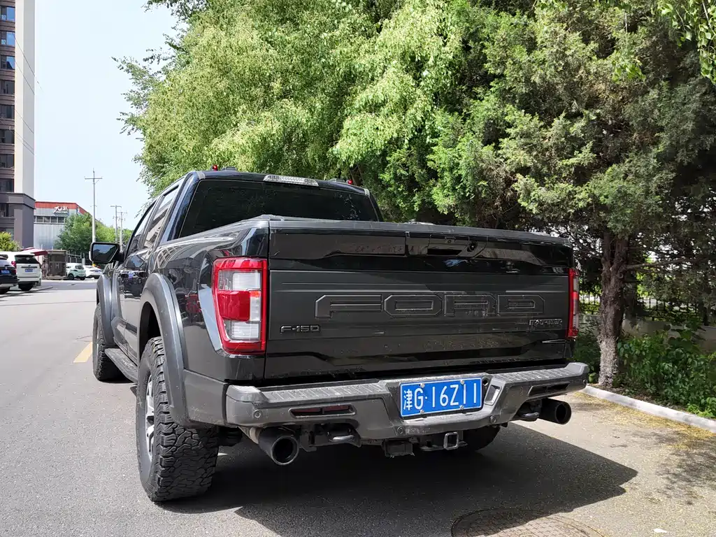 Ford F-150 Raptor 2024 — фото 2