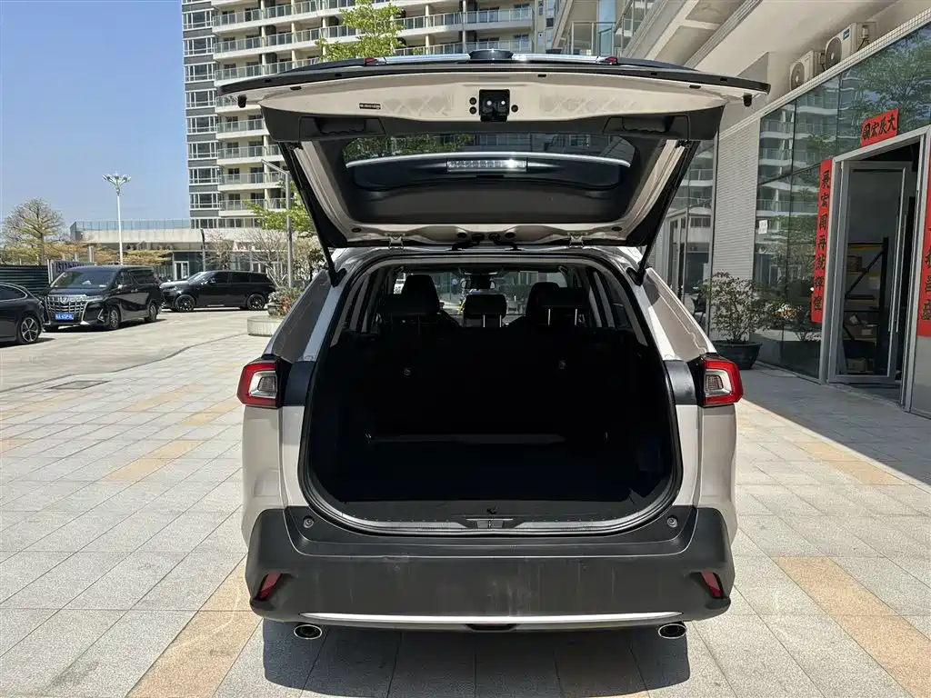 Toyota Wildlander 2020 — фото 13