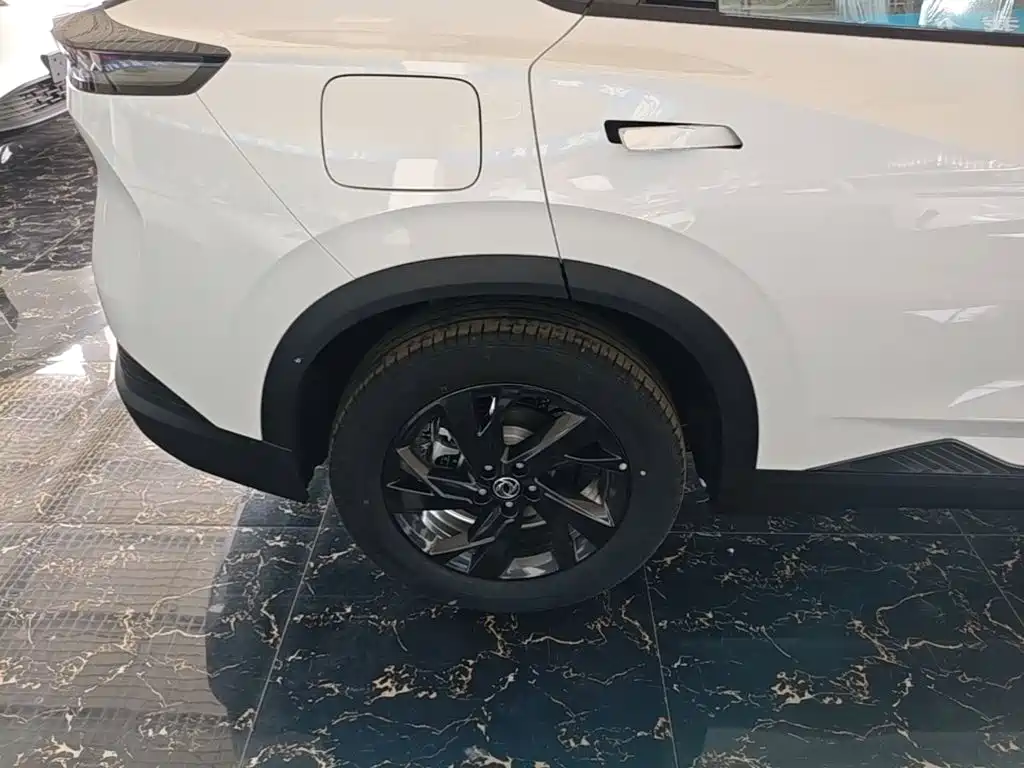 Dongfeng Aeolus SKY 2025