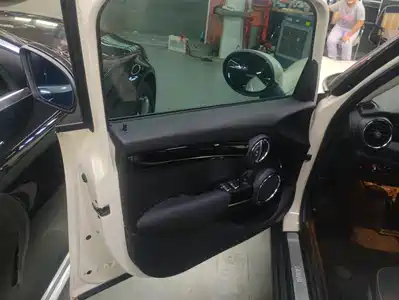 MINI MINI 2019