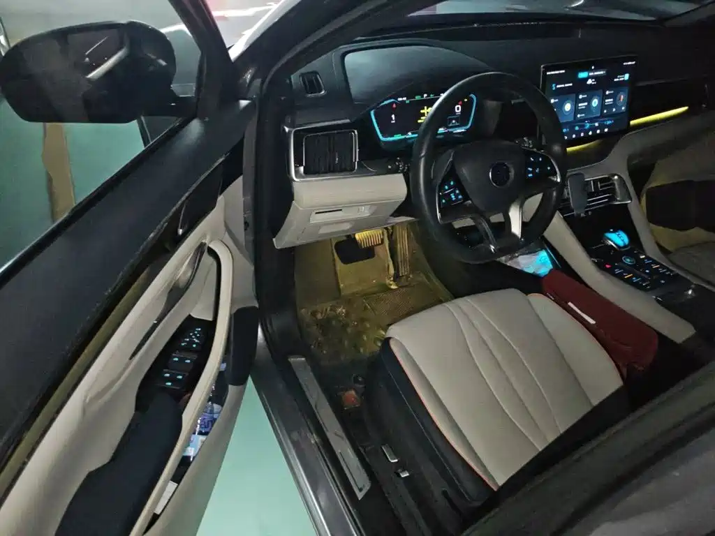 BYD PLUS New Energy 2021 — фото 13