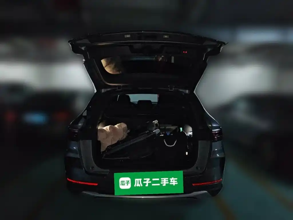 BYD PLUS New Energy 2021 — фото 16