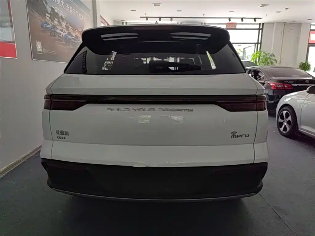 BYD Pro New Energy 2024 — фото 6