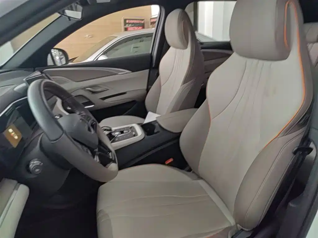 BYD Pro New Energy 2024 — фото 15