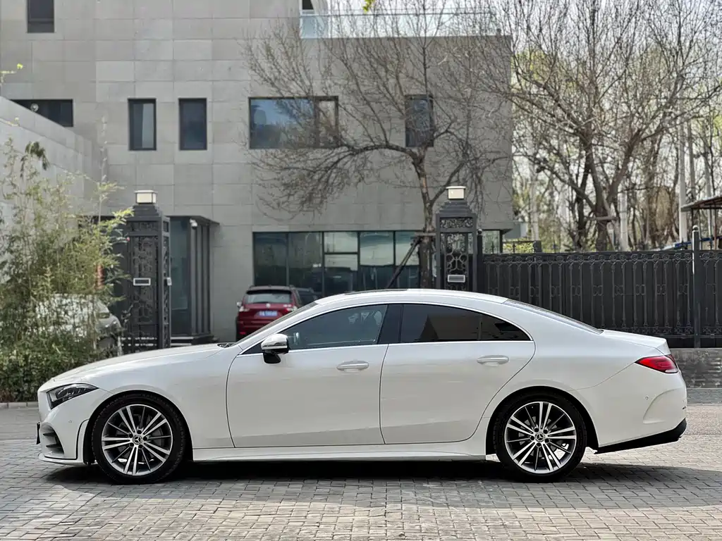 Mercedes-Benz CLS 2019 — фото 15