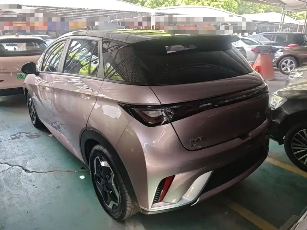 BYD Dolphin 2022