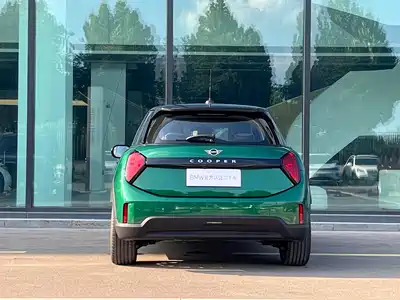 MINI MINI 2025