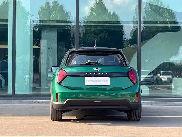 MINI MINI 2025