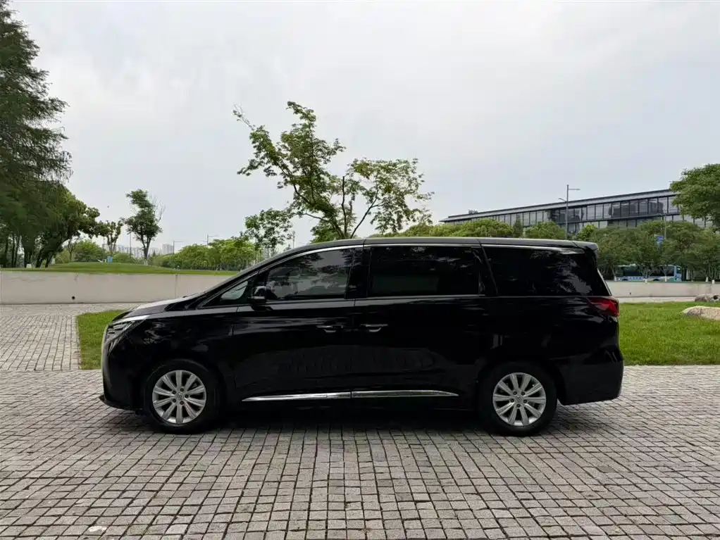 GAC Trumpchi M8 2018 — фото 4