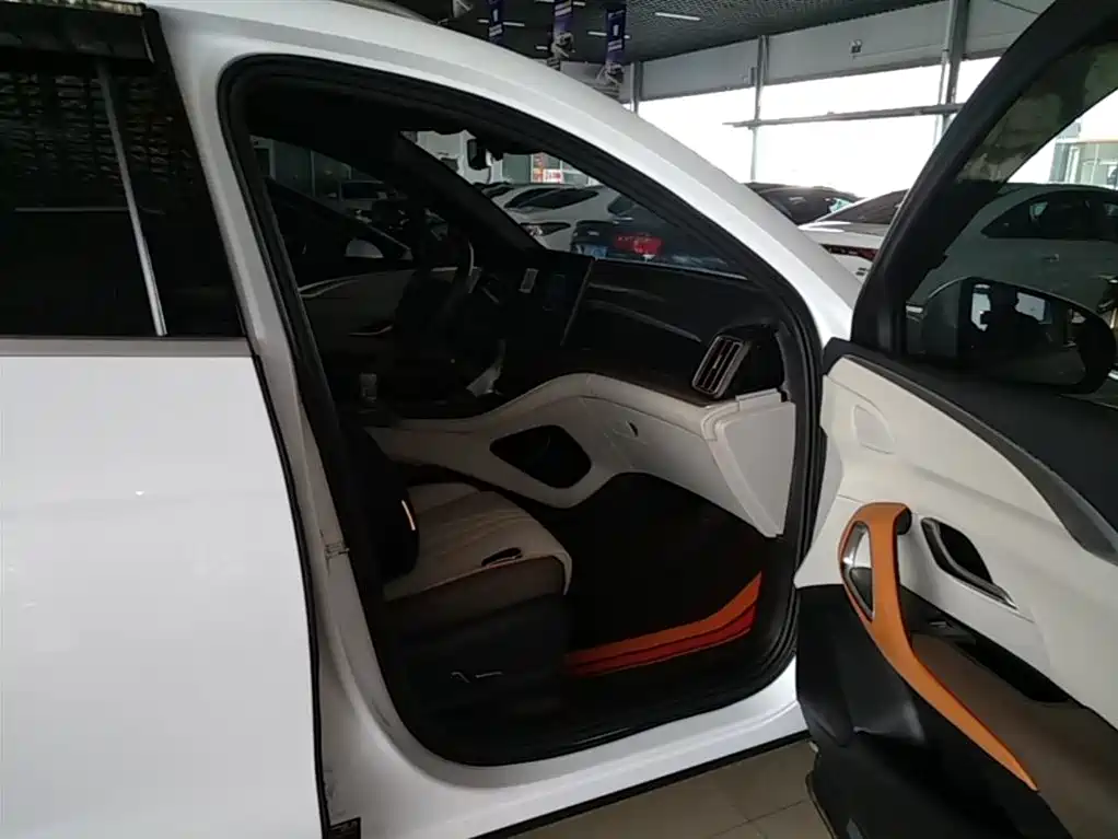 BYD Pro New Energy 2023 — фото 25