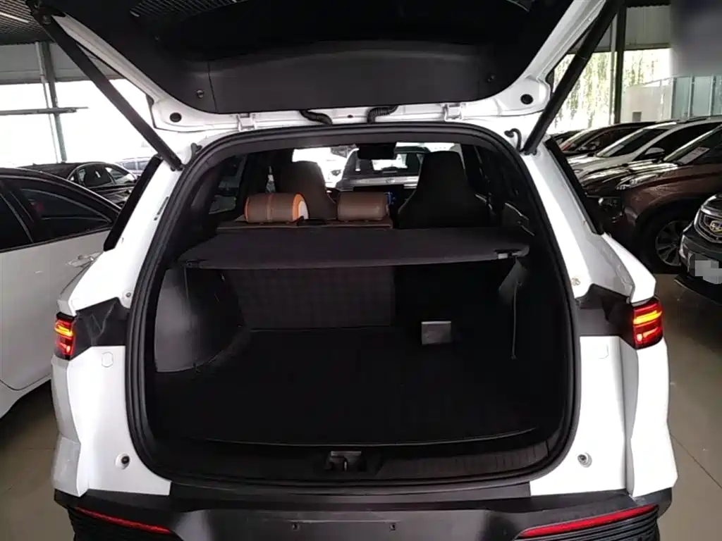 BYD Pro New Energy 2023 — фото 19