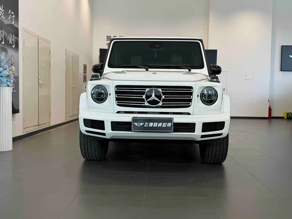 Mercedes-Benz G-Class 2019 — фото 2