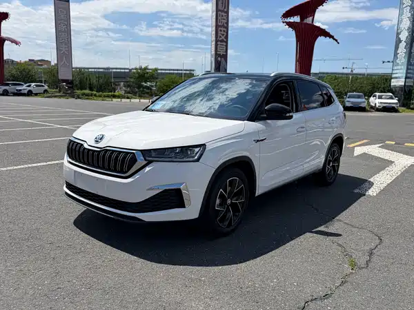 Skoda Kamiq 2022
