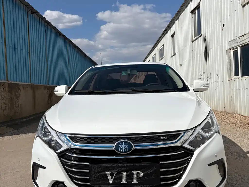 BYD Qin NEV 2019 — фото 2
