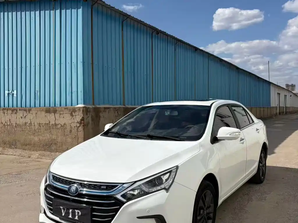 BYD Qin NEV 2019 — фото 3