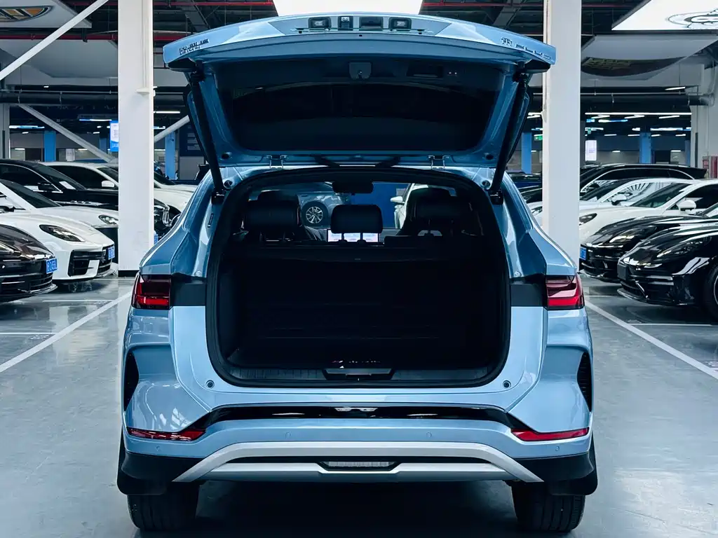 BYD PLUS New Energy 2024 — фото 11