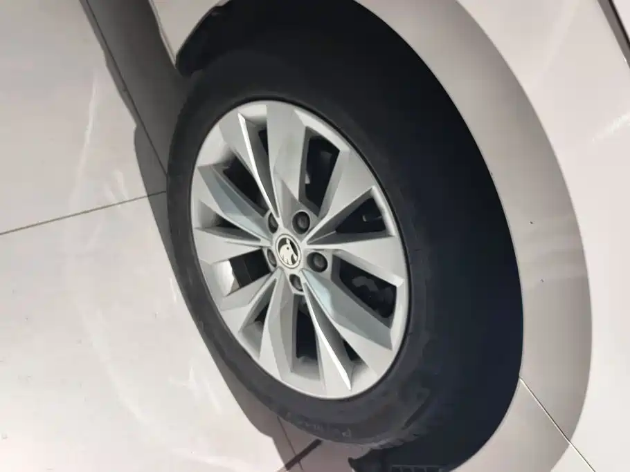 Skoda Speedy 2018