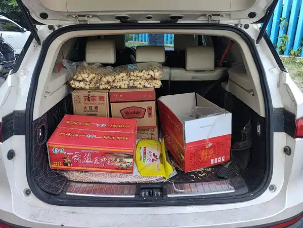 Zotye T700 2018
