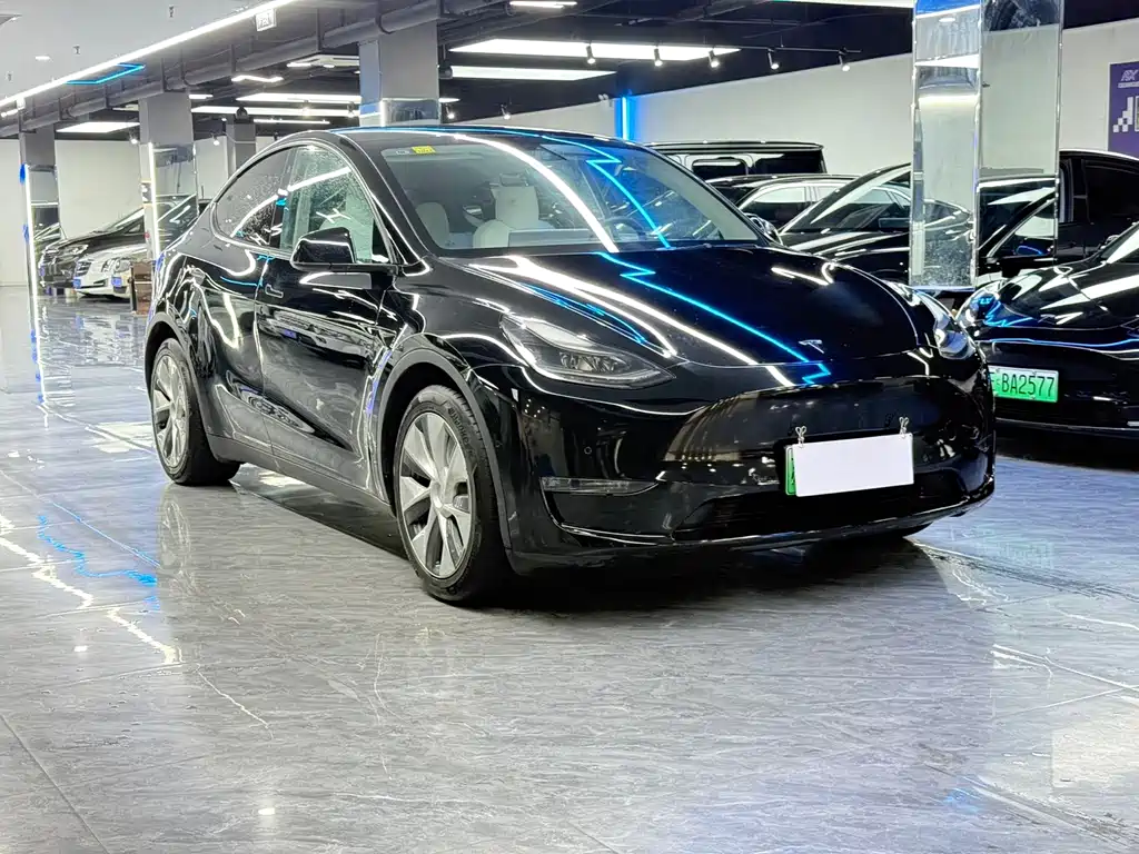 Tesla Model Y 2021 — фото 3