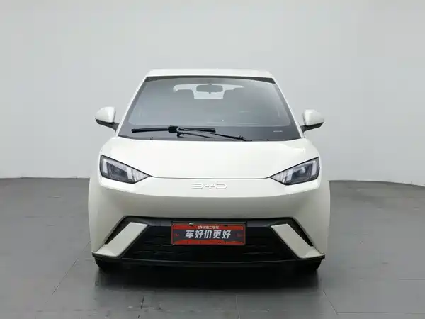 BYD Seagull 2024