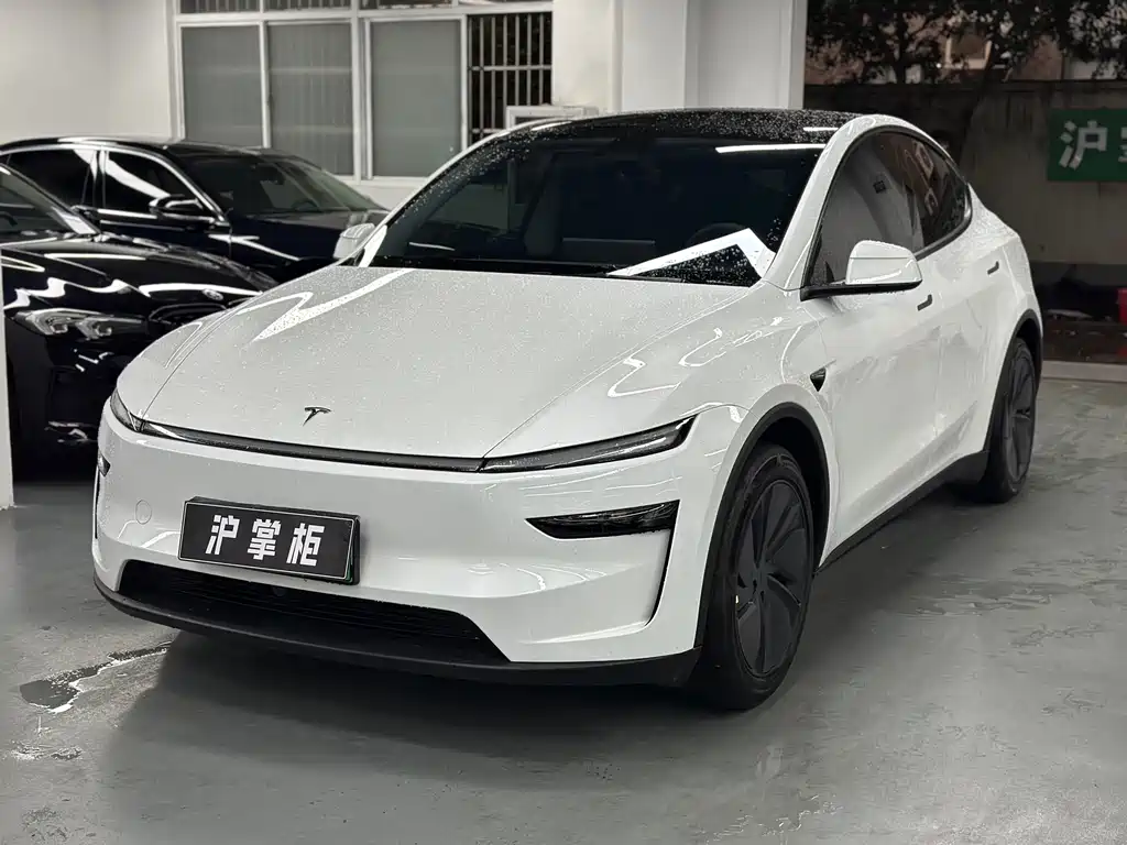 Tesla Model Y 2025 — фото 1