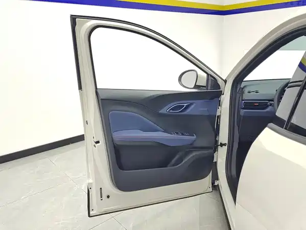 BYD Seagull 2024