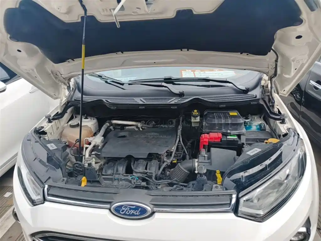 Ford Ecosport 2016 — фото 20