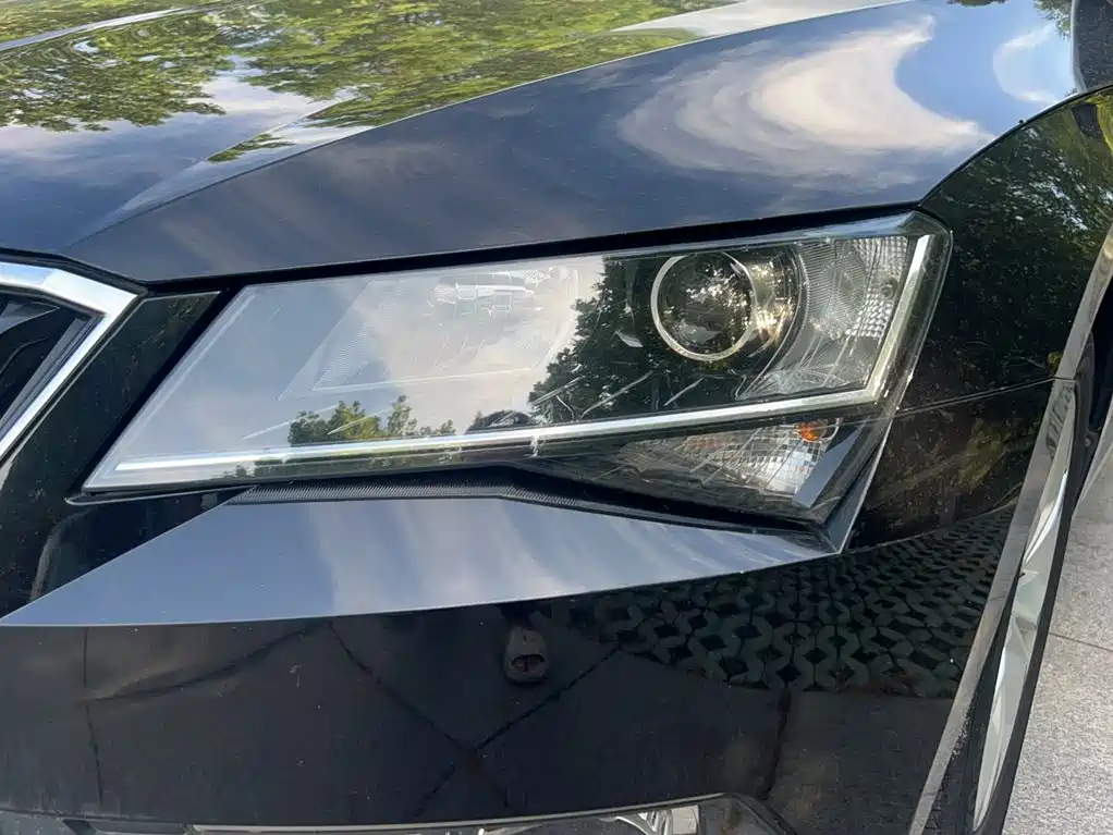 Skoda Speedy 2018