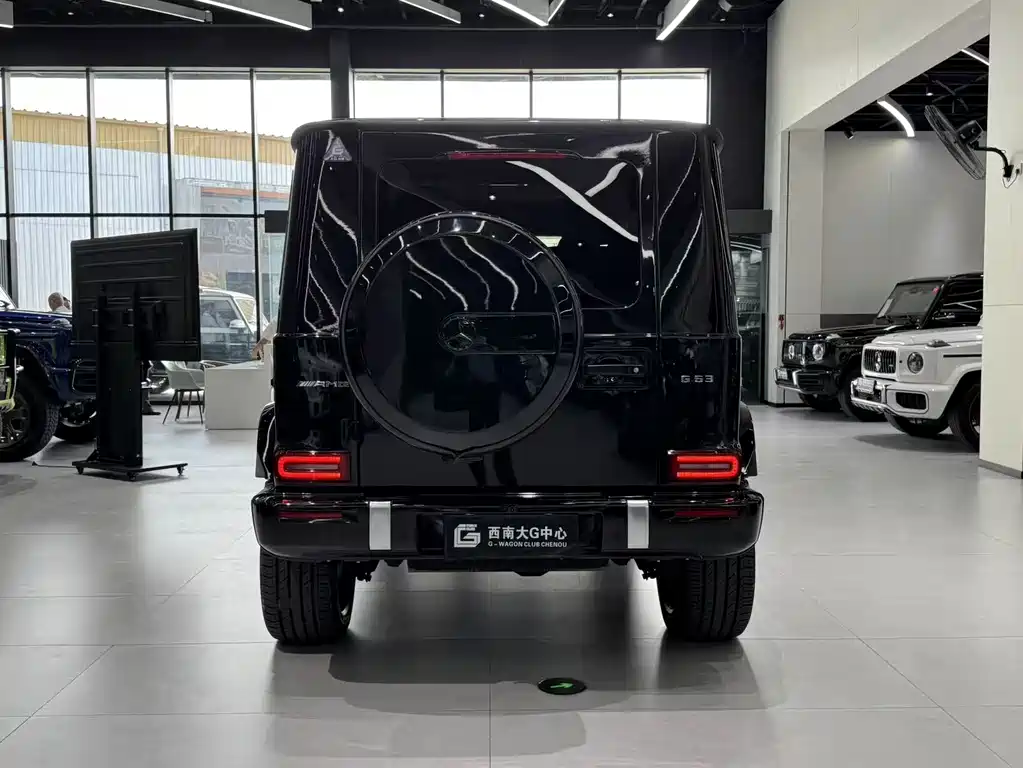 Mercedes-Benz G-Class 2015 — фото 10
