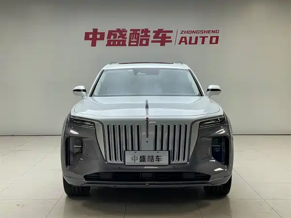 Hongqi E-HS9 2021