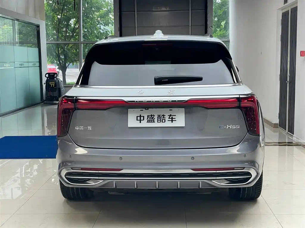 Hongqi E-HS9 2021 — фото 24