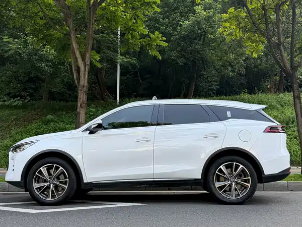 BYD Tang New Energy 2020
