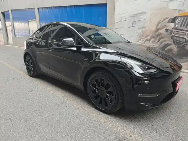 Tesla Model Y 2021