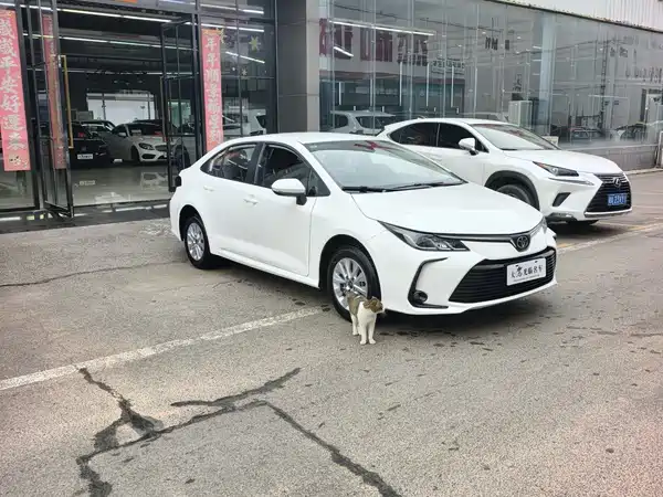 Toyota Corolla 2023