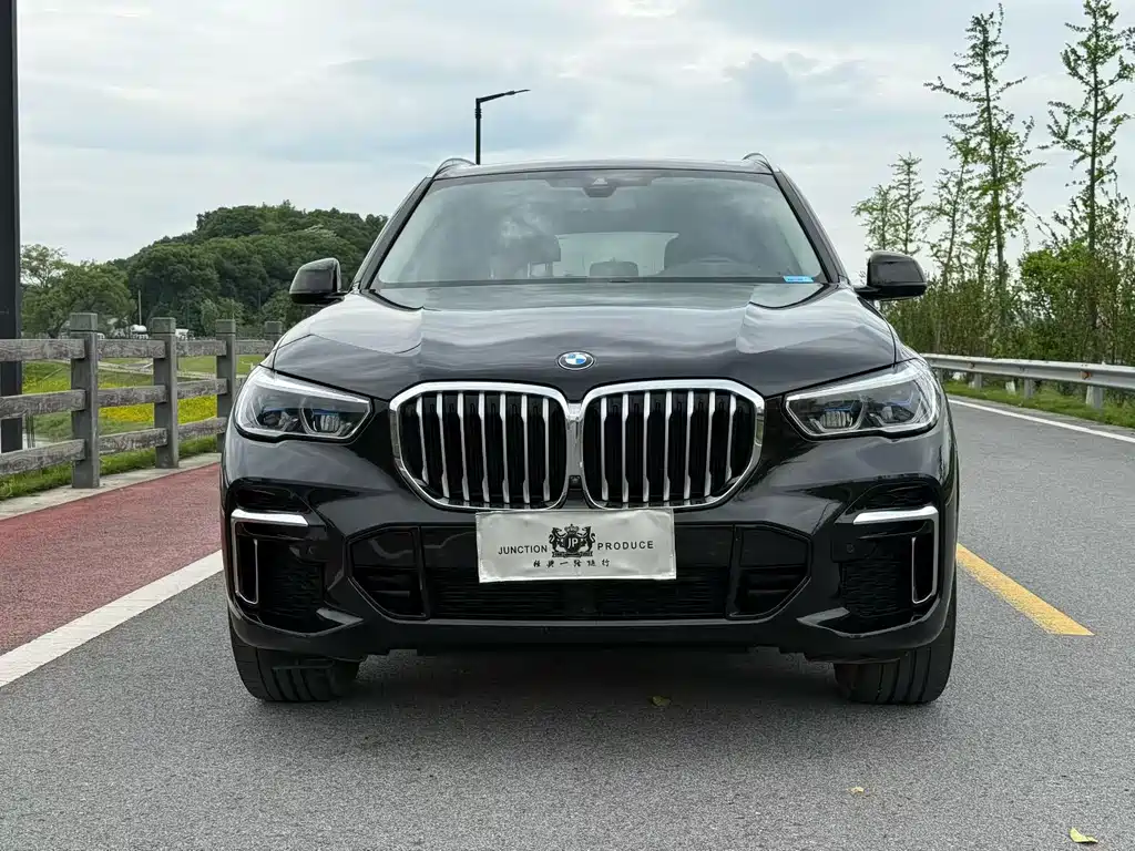 BMW X5 2023 — фото 2